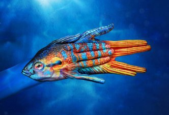 Paradise Fish - Ph. Garrigosa